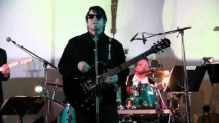 Leah - Barry Steele sings Roy Orbison