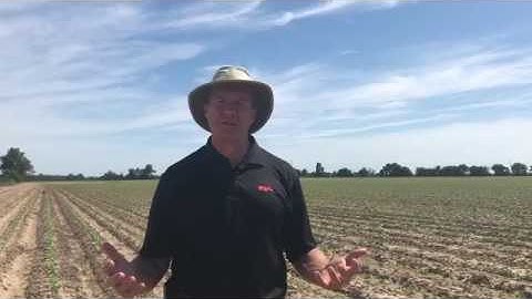 Engenia® Herbicide Application Tip #6 - Spray Day