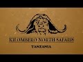 KILOMBERO NORTH SAFARIS - Tanzania