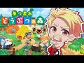 いきなり どうぶつの森 いきなり どうぶつの森