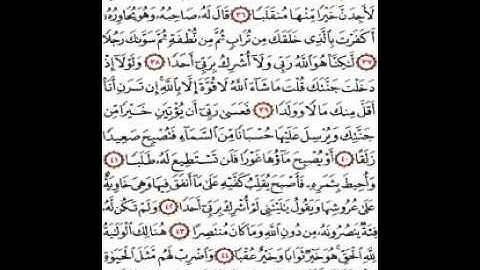 الشيخ خالد الغامدي سورة الكهف إلى آية 98 مع ظهور الآيات
