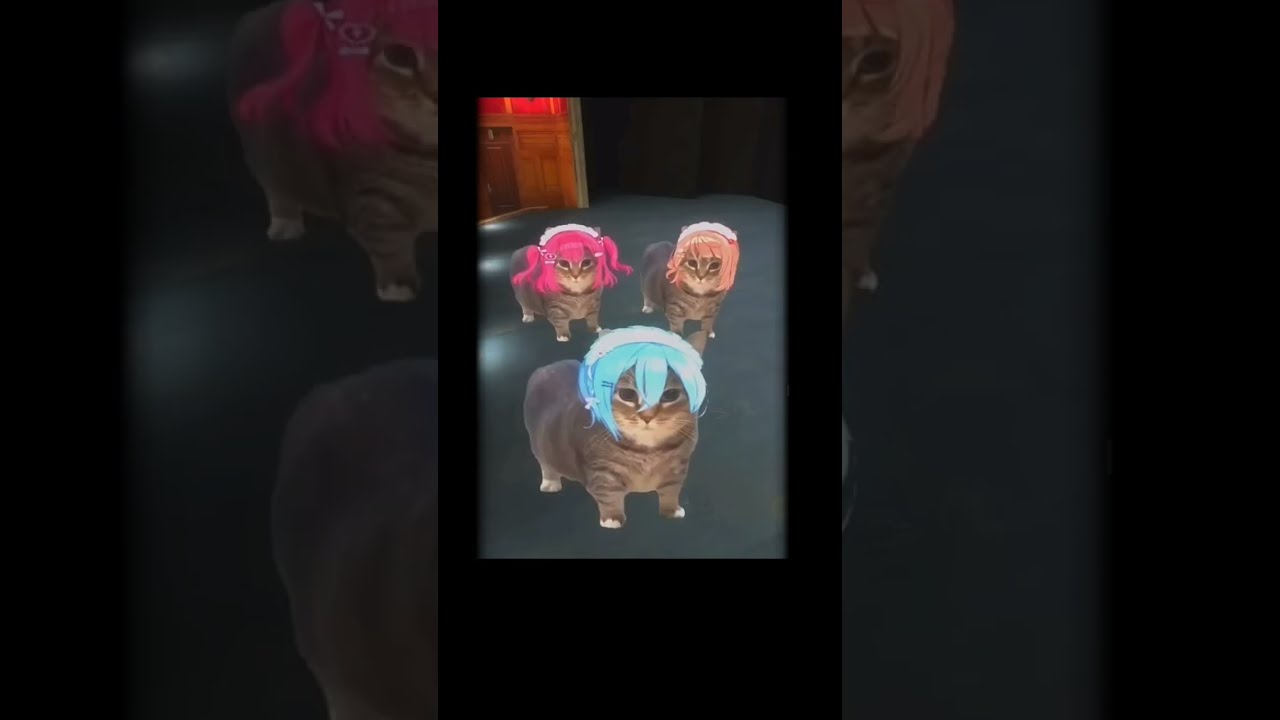 Wth Is This