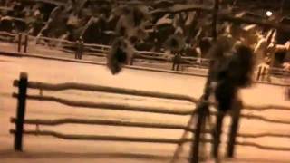 20101228_버스타러.MOV