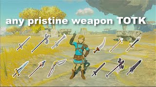 TOTK undecayed weapon tutorial