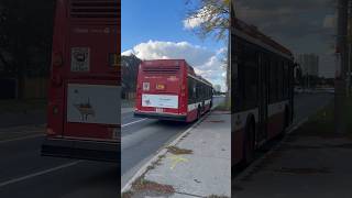 NovaBus LFS Diesel TTC unit #9209 departing McCowan and Big Red