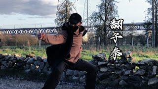 fanziquan JetLi kungfu for beginners #kungfu