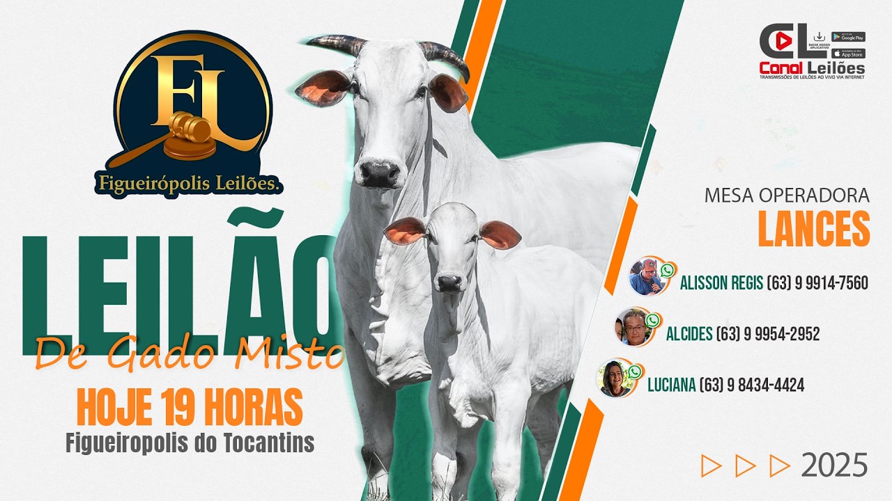 LEILÃO GADO DE GADO MISTO FIGUEIROPOLIS LEILÃO | FIGUEIROPOLIS DO TOCANTINS  10/03/2026