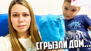 Крысы сгрызли дом || У меня новый прайс