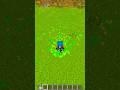 Minecraft Satisfying!