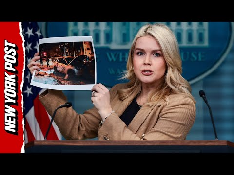 Leavitt: “Only Trump Knows” What Would Trigger Insurrection Act in Minneapolis