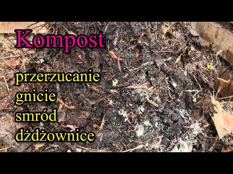 Kompost - przerzucanie, gnicie, smród, dżdżownice