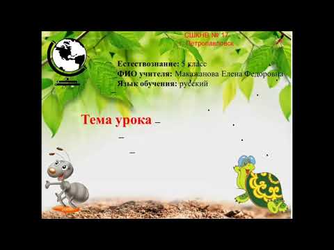 5 класс Виды экосистем