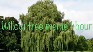 []Willow Tree meme 1 hour[] ||100+subs special||
