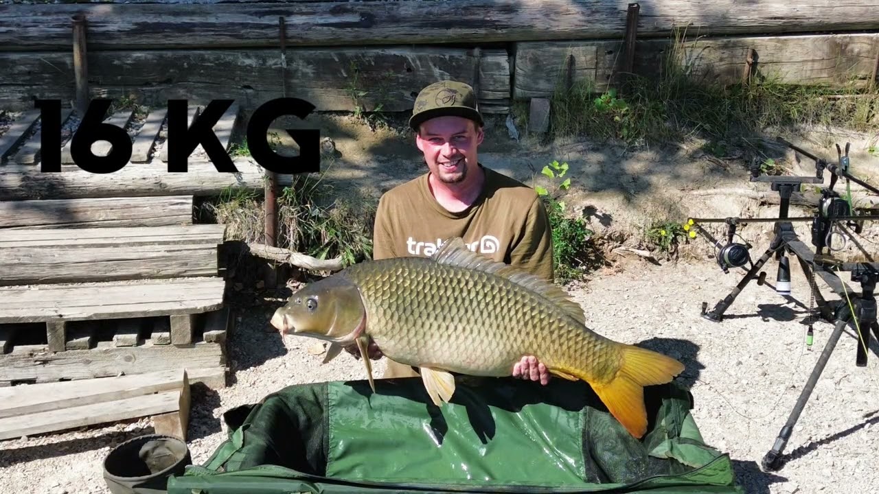 Komjatice štrkovisko August 2025 