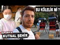 Japonya&#39;nın İLGİNÇ Gelenekleri ve KUTSAL Şehri NARA | 🇯🇵