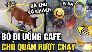 Tổng hợp tình huống 'HÀI ĐỘNG VẬT' không cười không lấy tiền | Tin 3 Phút Hài