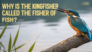 Why is the Kingfisher Given the Title “Master Fish Hunter”?