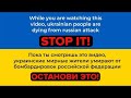 Пробил лодку на рыбалке на карася ВЫПАЛ С ЛОДКИ  чуть не утонул.Карась на поплавок в камыше в ноябре