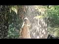 Смирение, самадхи, карма, мысли.Мастер Пранава