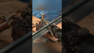 여행 중의 소소한 기쁨 찾기
