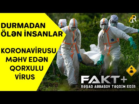 Video: Donuz Xəstəliyi Qitələri Keçir, Epidemiya ABŞ Donuzlarını Təsir Edir