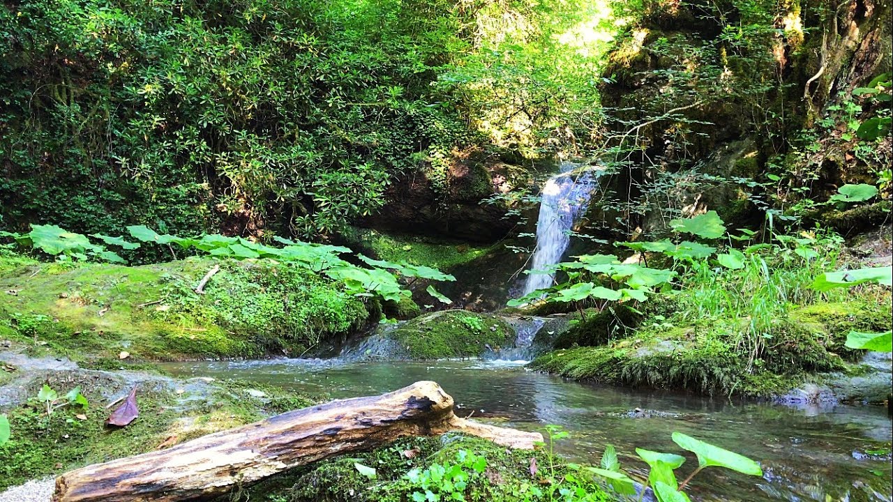 4k Forest Stream Real Time Relaxing Waterfalls Peaceful Nature Video Youtube