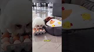 😂 Il se moquait… puis tout a tourné au chaos ! #shortvideo #movie #film 😂 Il se moquait… puis tout a tourné au chaos ! #shortvideo #movie #film