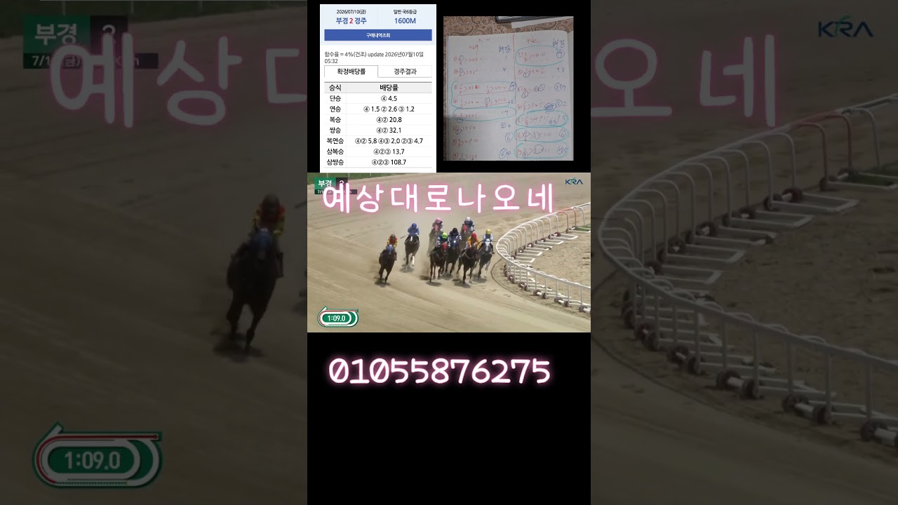 부산1.2경주 서울2경주예상적중