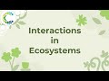 Ecosystem Dynamics and Energy Flow in Nature