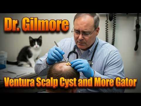 Ventura Scalp Cyst and More Gator Action!