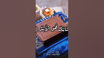 تلاوة سورة الكوثر بصوت سيف العزيزي ❤️🍃