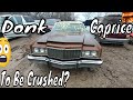 1974 Donk Caprice Classic Junkyard Find