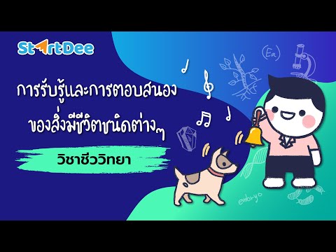 วิชาชีววิทยา ม.6 | การรับรู้และการตอบสนองของสิ่งมีชีวิตชนิดต่างๆ
