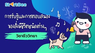 วิชาชีววิทยา ม.6 | การรับรู้และการตอบสนองของสิ่งมีชีวิตชนิดต่างๆ