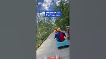 Real-life Mario Kart ends in disaster