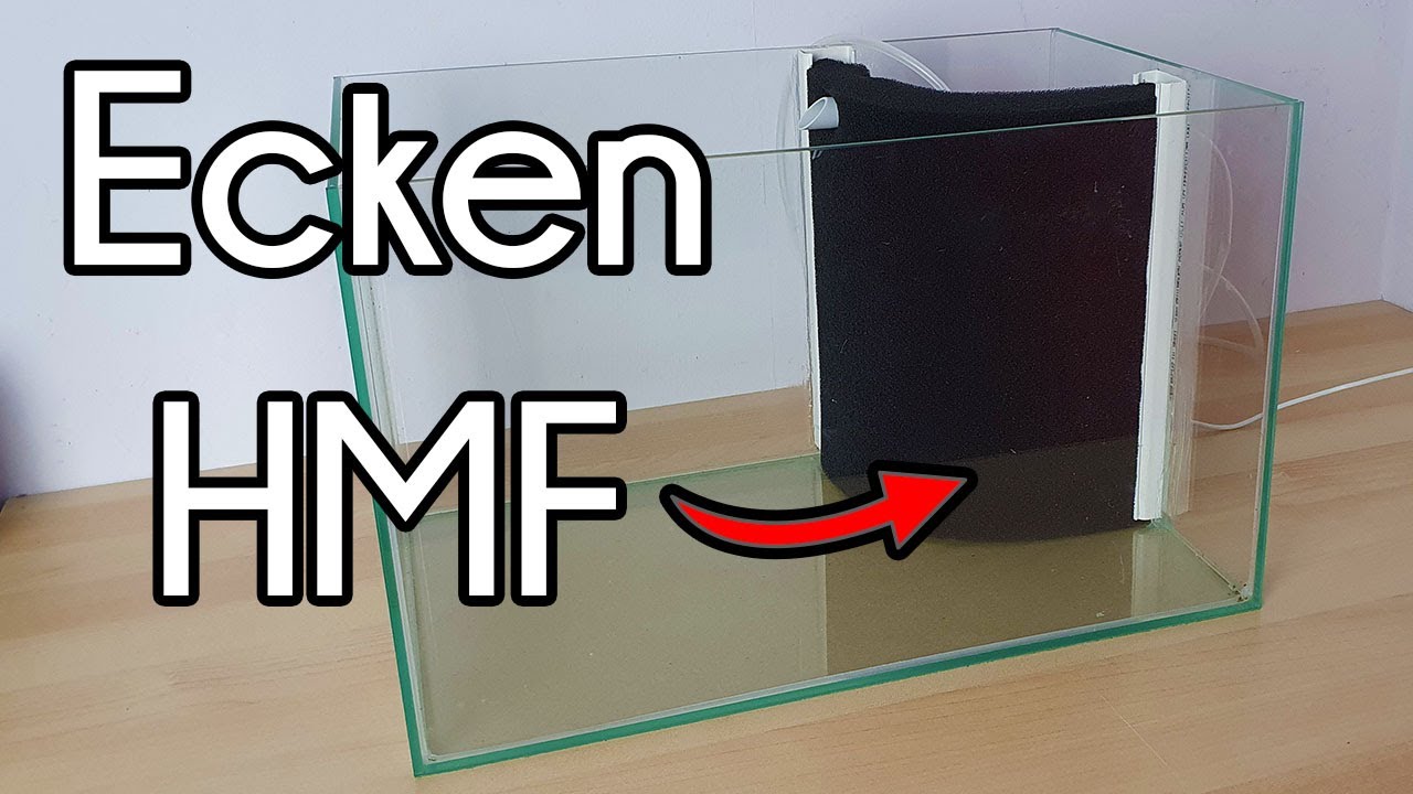 DIY Eck - HMF Zuchtaquarium (#105) 