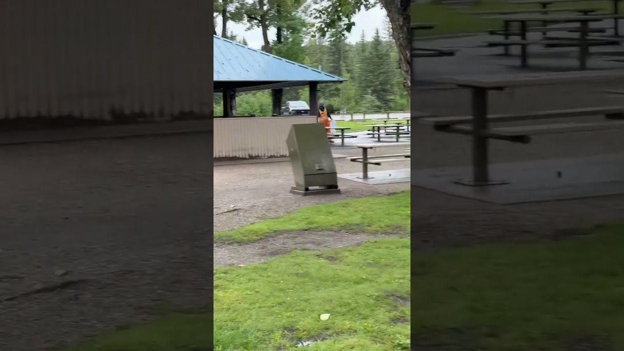 Geese Crossing 