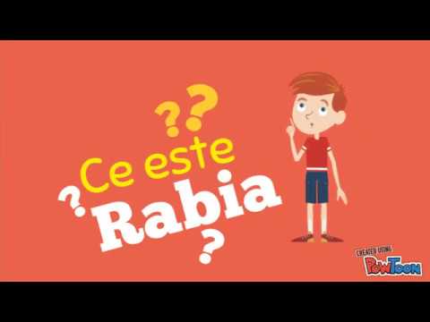 Video: Rabia La Câini