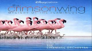 The Crimson Wing Mystery of the Flamingos : The Crimson Skies