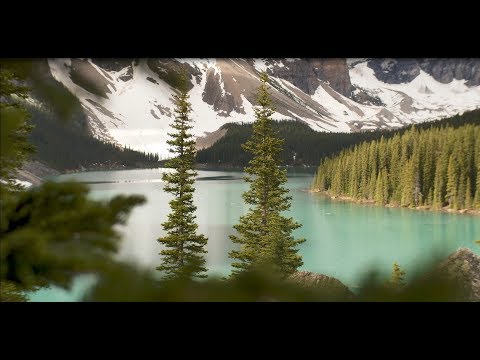 Video: Nationale parken van Canada