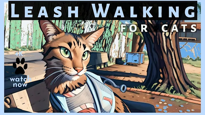 Video 6825041: curious oriental shorthair cat, leash train walk cat, compilation