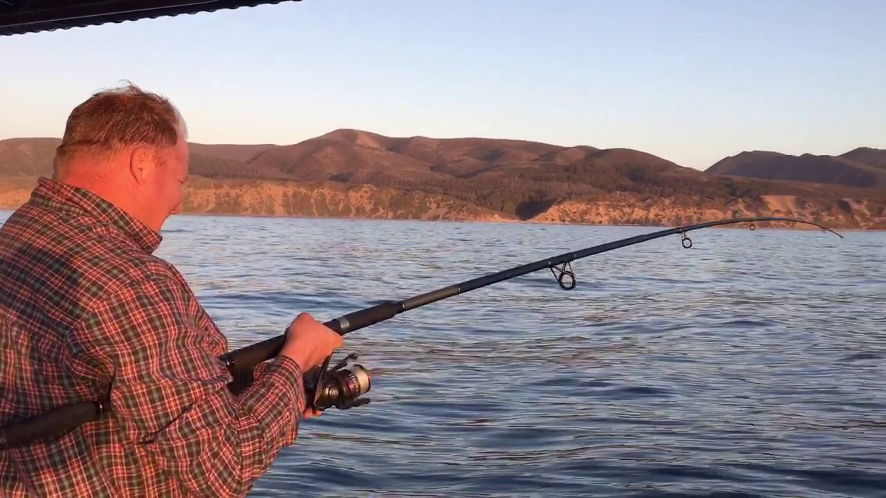 morro bay fishing trip