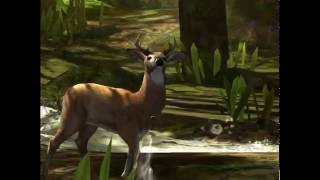 Deer hunter: охота на оленя и уток screenshot 4