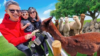 I WENT TO THE FARM ON TOP OF THE MOUNTAIN!!