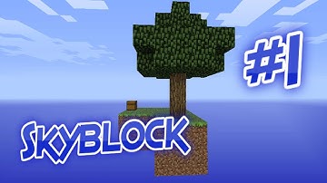 Minecraft: Skyblock Part 1 - INFINITE WATER SOURCE