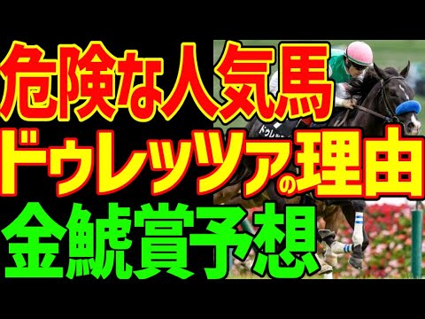 【金鯱賞予想】ドゥレッツァが菊花賞を圧勝してもここでは不安要素がある理由は末脚の限界と中京競馬場の急坂…そして59キロ…ここはプログノーシス！2024年金鯱賞予想動画【競馬ゆっくり】【私の競馬論】