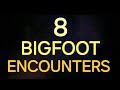 8 BIGFOOT ENCOUNTERS