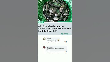 Cá rô phi xâm lấn Thái Lan