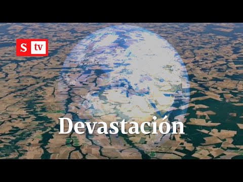 Google revela impresionante videos de deforestación con nueva función de Google Earth| Videos Semana