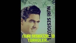 Nuri Sesigüzel..13..Aşkından Divaneyim..Eli Develi..Bugönül Dertli Gönül..